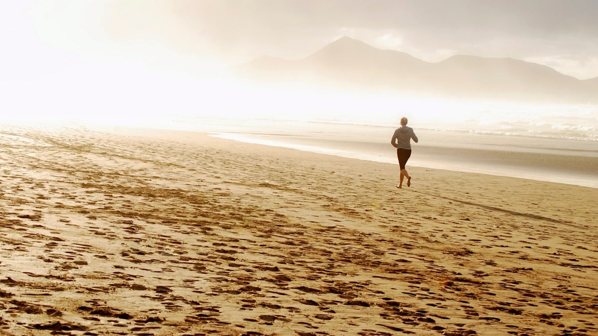Chasing the sun